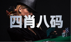 澳门材料2024年寻