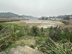 <b>沉庆一水库百亩水和鱼群最新逃踪：沿岸村衡宇</b>