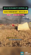 <b>外埠养殖户鹅棚被引燃丧失40多万目击者村平易近</b>