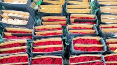 新华视点丨科技赋能：解锁农业“新暗码”
