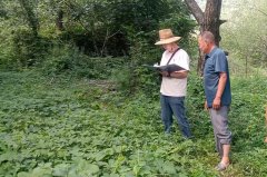 <b>陕西洛南县保安镇开展财产核实工做 保障惠农补</b> <b>陕西洛南县保安镇开展财产核实工做 保障惠农补</b>